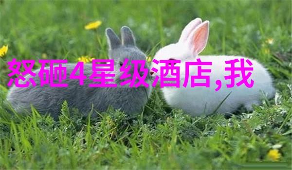 蜜桃成熟时揭秘银屏上的甜蜜成长