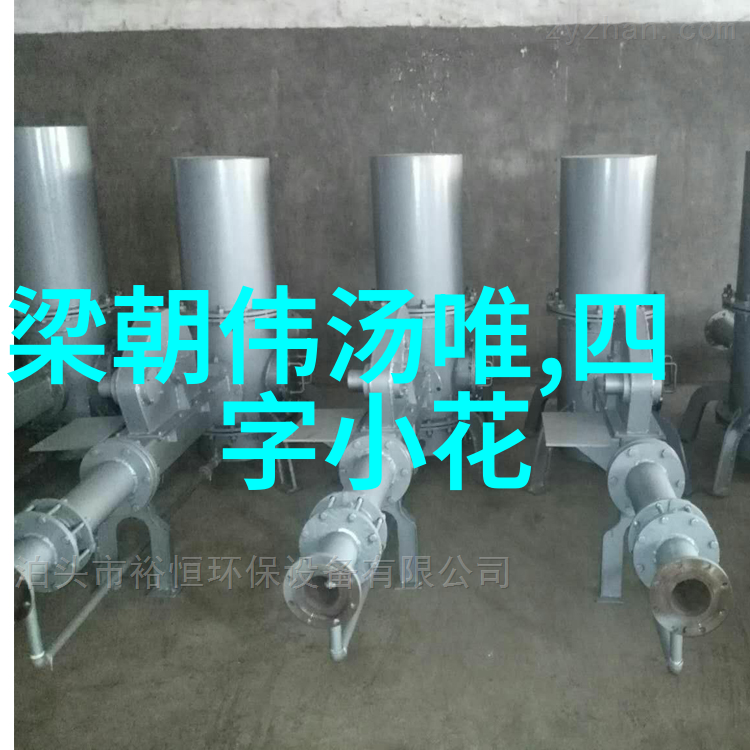 主播雪梨的逆袭之路从小城姑娘到网络红人