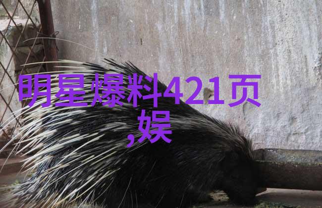 冰山美人网红雪梨面相的魅力