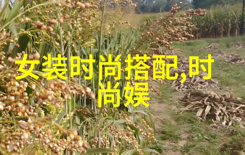 广东网红TOP20潮流旗手的辉煌之旅