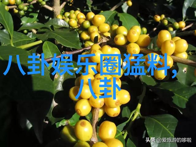 与她一起绘制人生的画卷