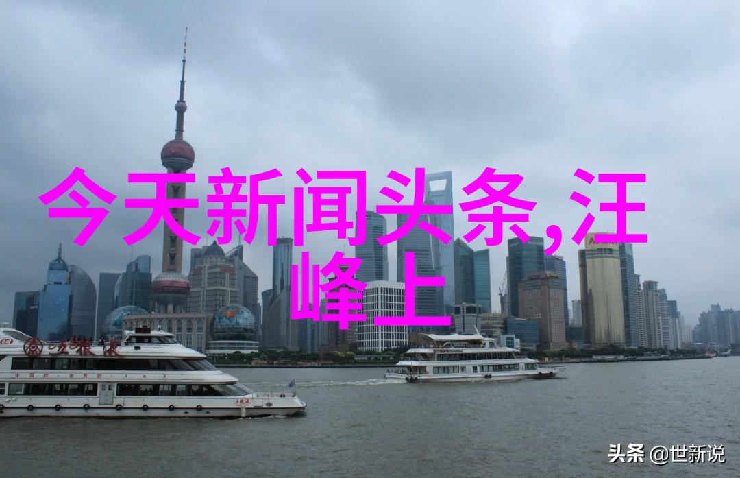 传统与现代的交响曲日本摄影师的视角