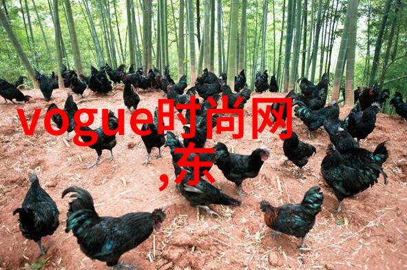 今日娱乐新闻头条15条谢霆锋是影帝吗当年他如同繁星般璀璨巅峰时期红透了大江南北