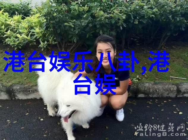 中国国际时装周(2013-2014秋冬系列)开幕女秋套装如同落日中的晚霞绚烂多彩