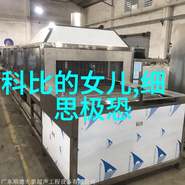 女朋友的妈妈电影完整版我家女朋友的超级Cool老妈