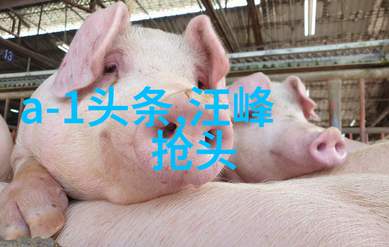 主题我来教你如何用先后天八卦数字对照图记忆生日和日期