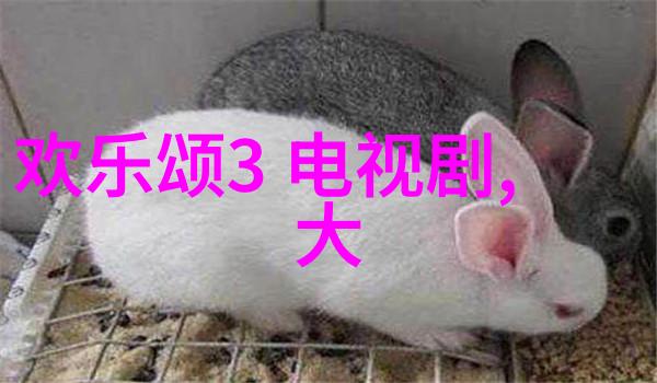 冯绍峰亲子疑云真实的鉴定过程背后隐藏了什么秘密