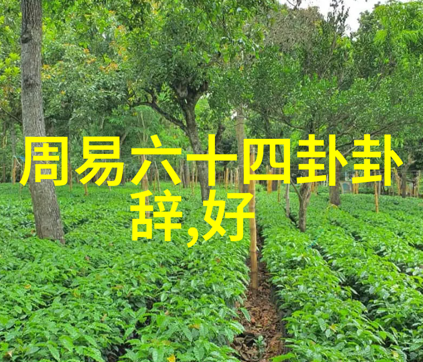 探寻古秘揭秘正确的八卦图之谜