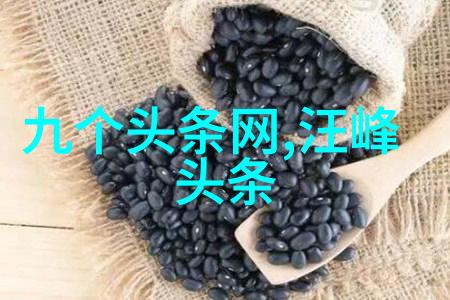 现在就出发综艺大热播免费观看完整版畅享娱乐盛宴