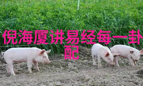 安吉拉林德沃外号为什么叫狐狸只因太美中国最准的免费八字算命网在社会上掀起热潮