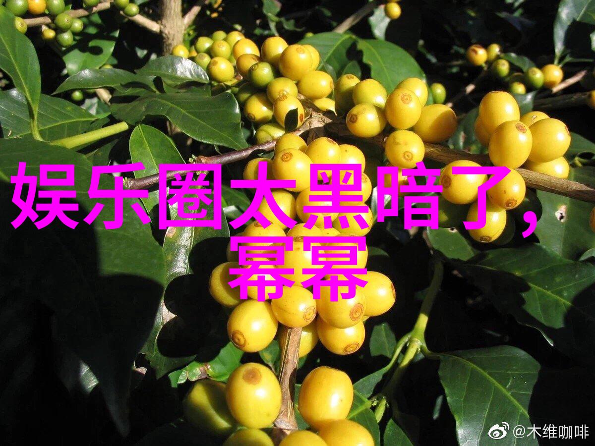 22232轴承-深度解析如何选择和维护适合您工厂的22232型号机床轴承
