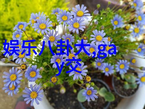 逃出大英博物馆电影我如何在一场混乱中偷窃了英国的宝藏