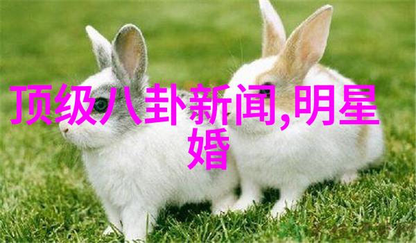 直播梦想一键启动的互动世界