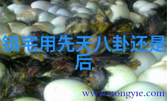 哈弗H9实力铸就辉煌10万公里车主传说般的忠诚背景图片高清大图让你一目了然