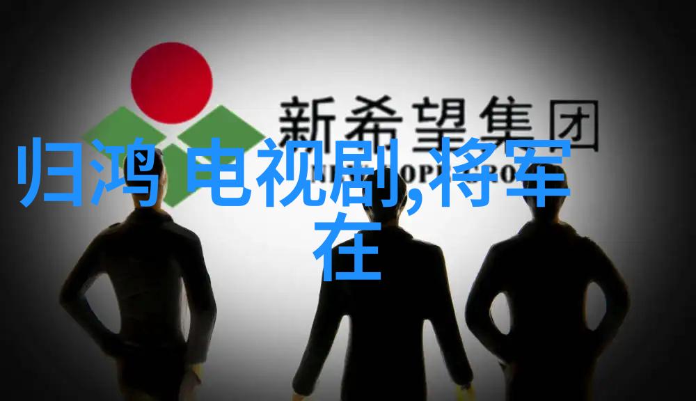 风华正茂台湾中文娱乐网的辉煌历程