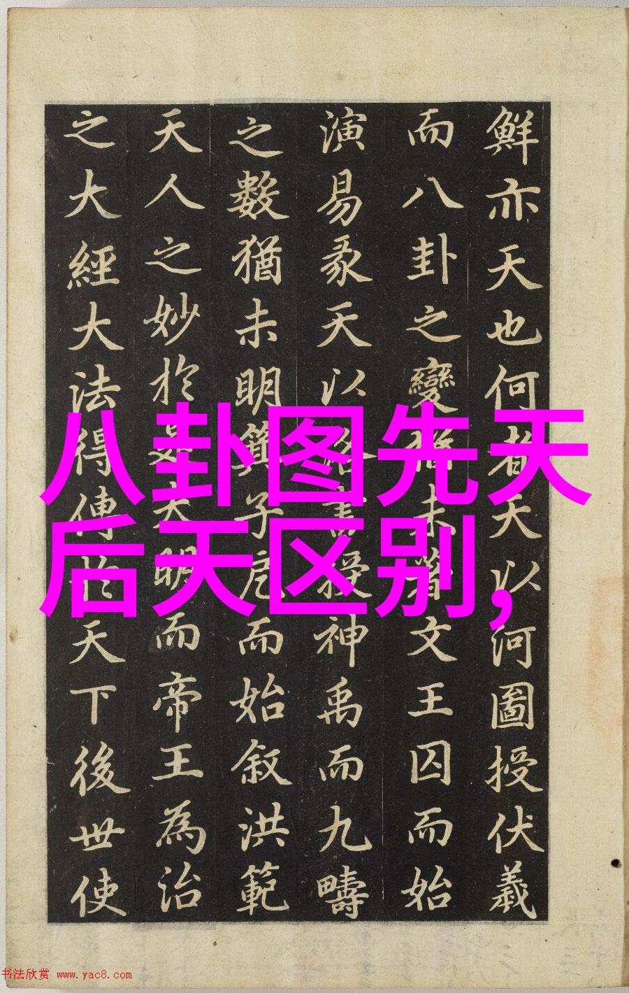 美女艺术写真背后的秘密是什么