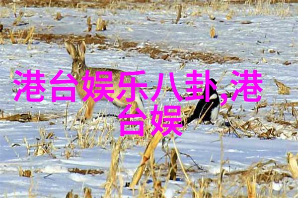 yy头条探秘网络时代的新闻传播