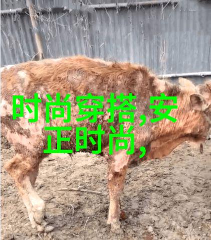 男友让我趴在他身上他轻轻地喂我奶水温暖的液体流进我的嘴里我感到一股满足感和安心