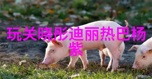 了解后天八卦每个方向代表什么含义