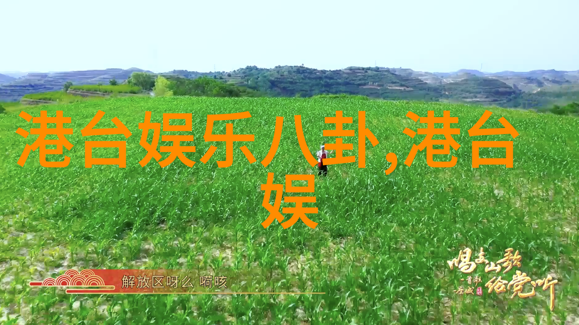 乳房写真-探索女性之美乳房写真艺术与文化