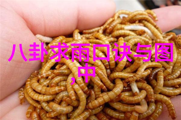 电视剧北京爱情故事的对话和台词有没有什么特别的意境或者寓意