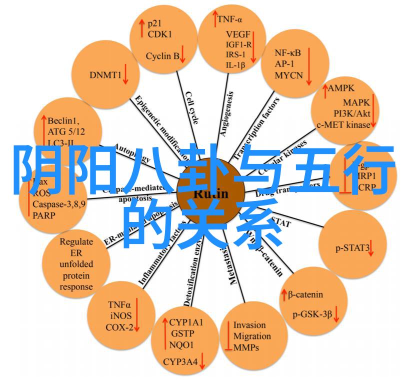 失望与心寒的瞬间对某人深切失望和内心冰冷的图片