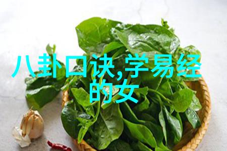 同性明星风采展示亚洲娱乐界的非传统美感