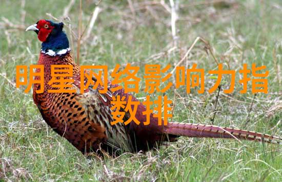 秦钢近况最新消息新闻头条 - 秦钢再获荣誉科技创新成就再次登顶