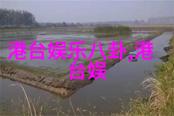 成年人的秘密花园笑声与光影的交错