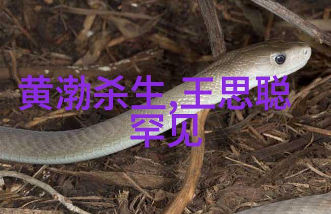 娱乐场所管理办法-严格监管夜生活深度剖析娱乐场所管理办法的重要性