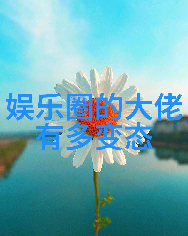 新浪娱乐我是如何在网上发现明星的真实生活的