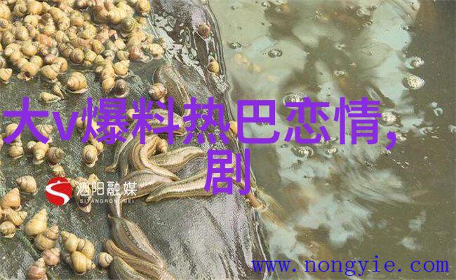 破晓前夕剖析台海紧张局势与潜在爆发时间预测