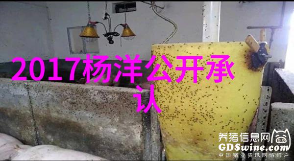 不懂撒娇的女人电视剧青青子衿热播骆秋迟闻人隽高甜撒糖杭如雪开启双线真香