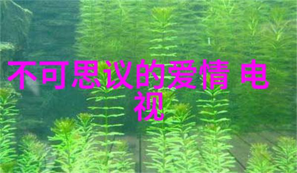 红毯下的诱惑艳舞写真的魅力与禁忌