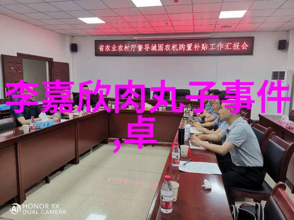 历史长河中的民国传奇解读2009年的古装大戏