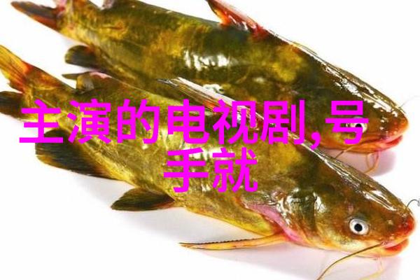 如何通过数据分析来优化成品影视app的用户体验和吸引力