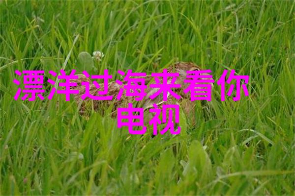 台湾娱乐1971长安十二时辰惊魂姚汝能的秘密身份解锁他是怎样死去的