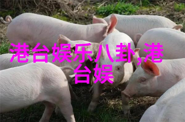舒淇一组黑白写真曝光看了这组照片你会发现舒淇的魅力在哪