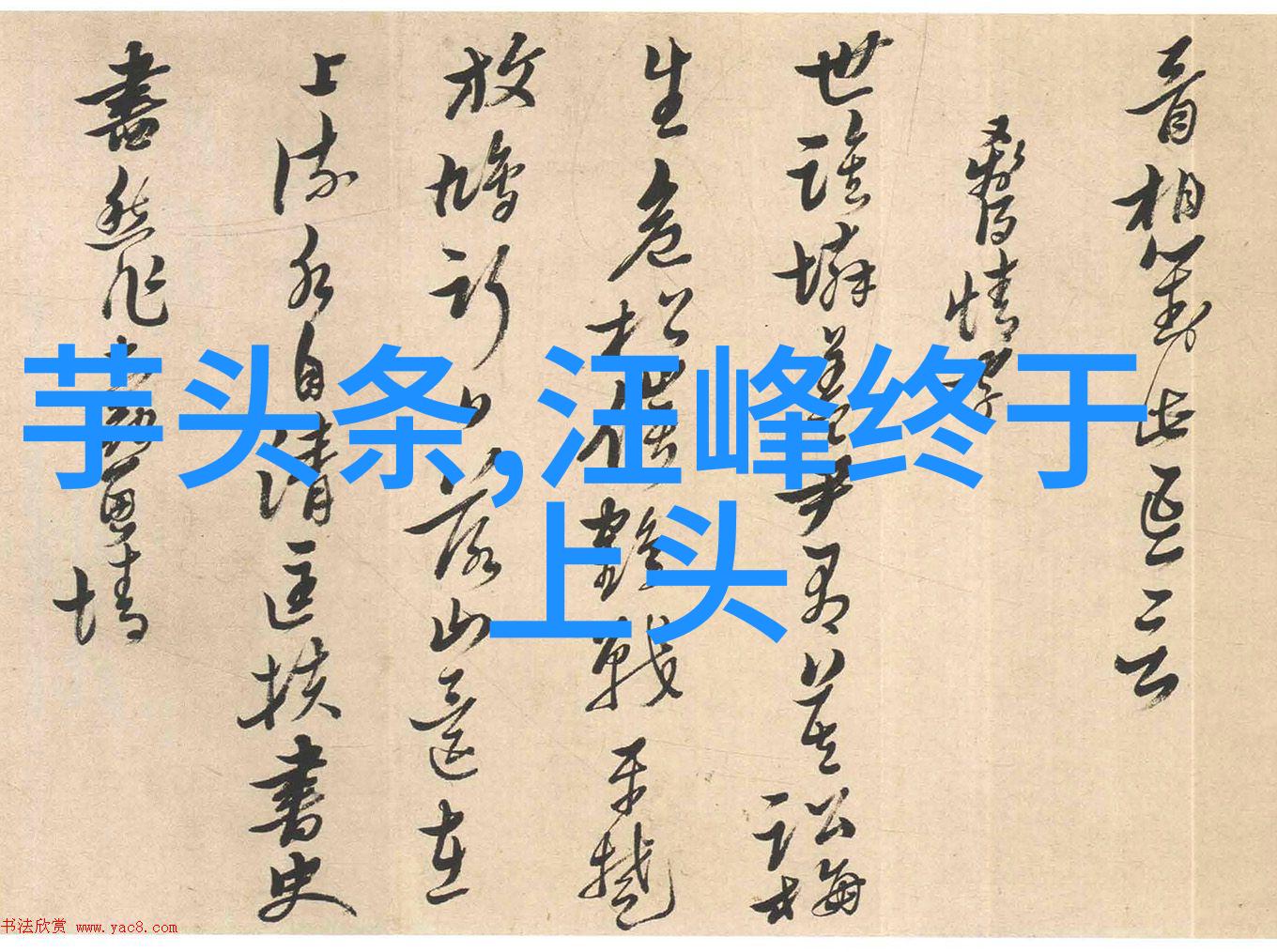 东方时尚驾校引领街头风格的驾驶培训