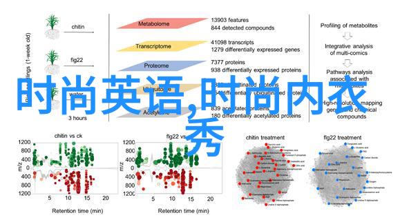 东方时尚驾校官网反复炫耀中国第一对超模夫妇的婚礼盛宴金大川与雎晓雯在此次正式仪式中重现维密秀之美