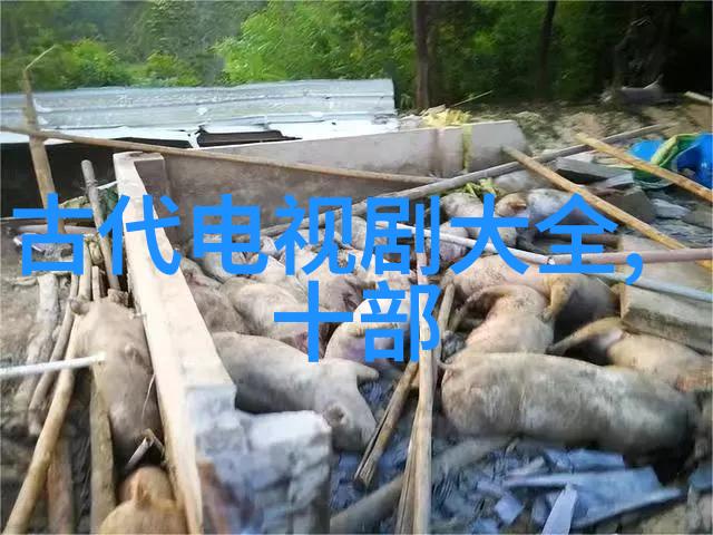 探秘四虎影视精品资源用户体验与网络争议