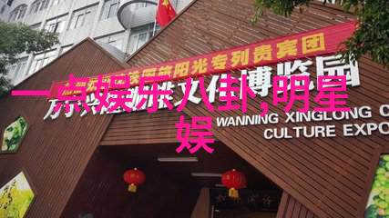 网红生活-网红雪梨的幸福婚礼爱情故事与甜蜜瞬间