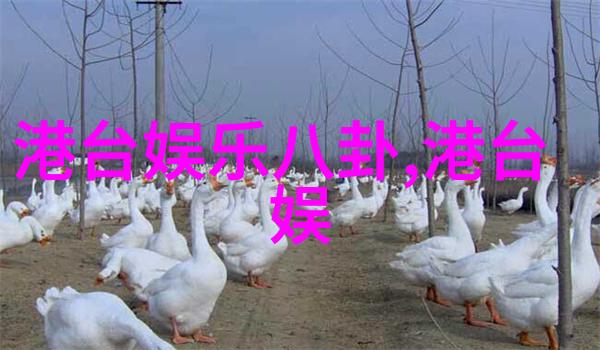 在拍摄过程中模型与摄影师之间的化学反应有哪些作用