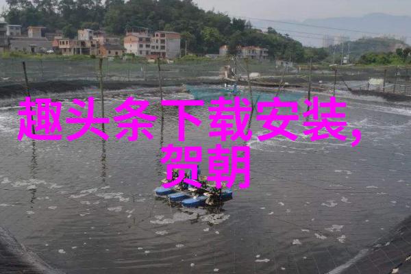栀子花绽放的春日暖阳下