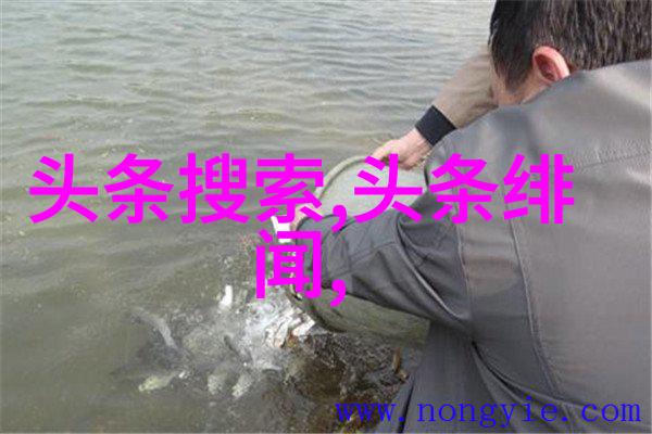 八卦数字秘笈解锁先天八卦对照图的奥秘