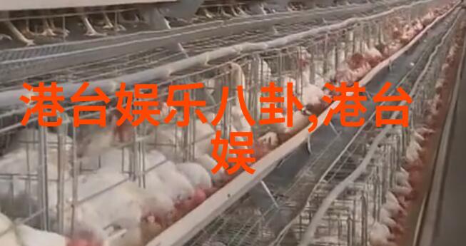 青娱乐极品盛宴我在这个狂欢夜里遇见了最疯狂的自己
