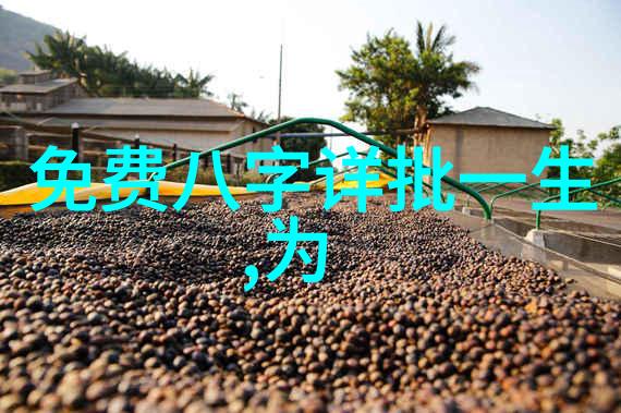 社交媒体上的美学革命分析目前最流行的个人资料图片特点与技巧分享