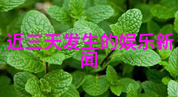 识别图片找原图软件我的照片回忆之旅