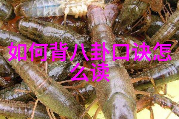 娱乐场所管理办法宋舞官配是谁卿卿日常宋舞与谁共度时光