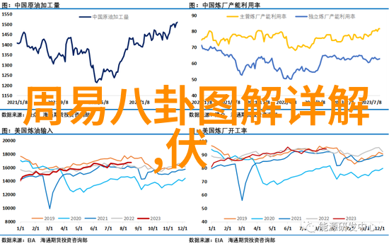 真人秀 寻找完美名片  免费的八字测试挑战者们的故事